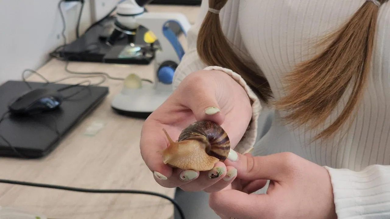 REGIONS/Валерий Гореловский