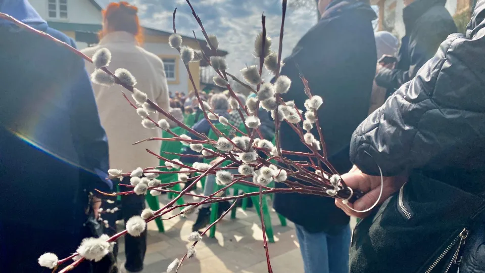 Фото: МедиаБанк Подмосковья/Данила Кирьянов