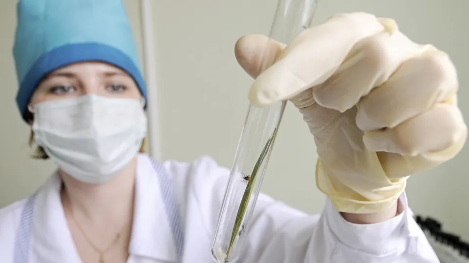 Фото: ТАСС/Михаил Мордасов