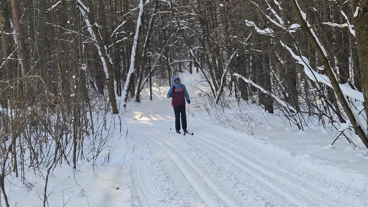МедиаБанк Подмосковья/Ольга Вельшикаева
