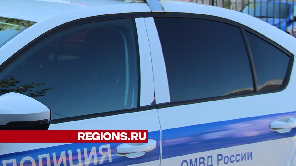 Фото: REGIONS/Василий Тремасов