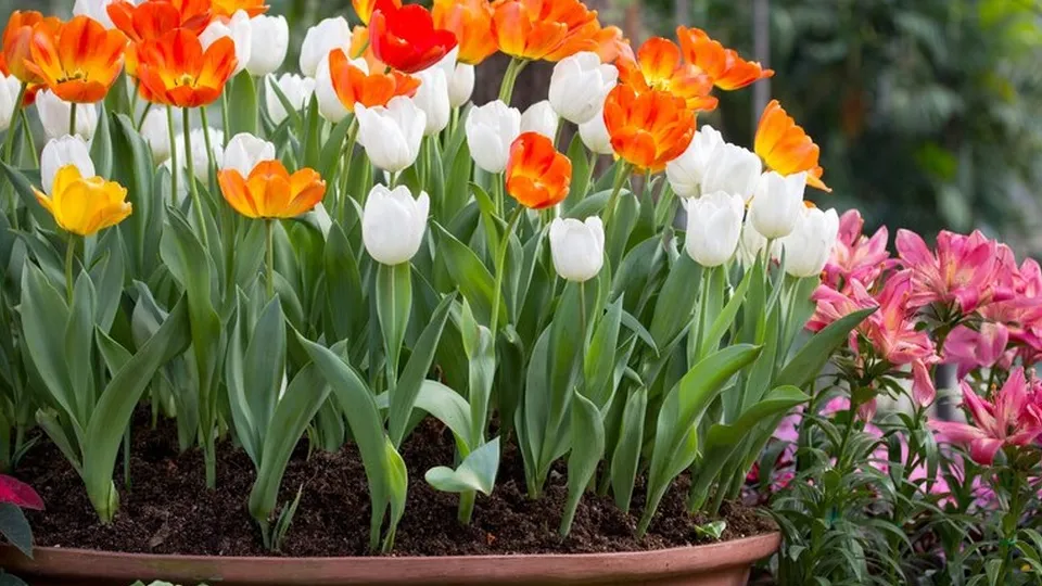 Фото: freepik.com