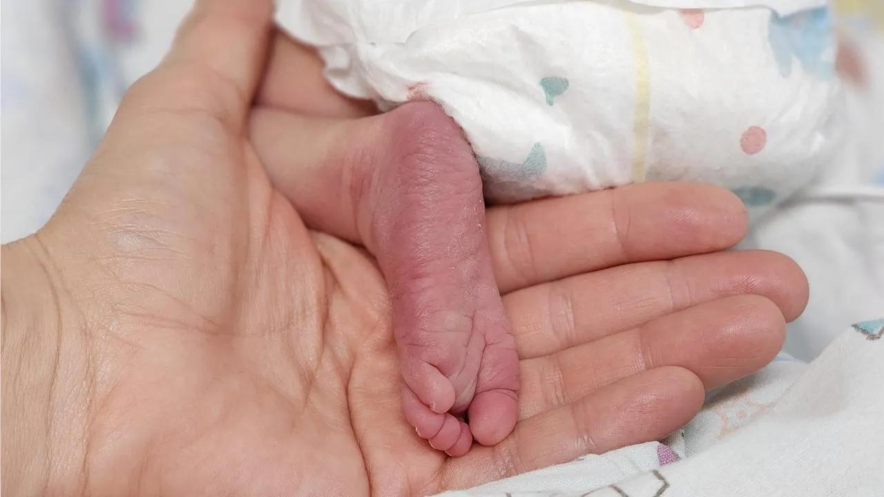 МедиаБанк Подмосковья/Валентина Максимова