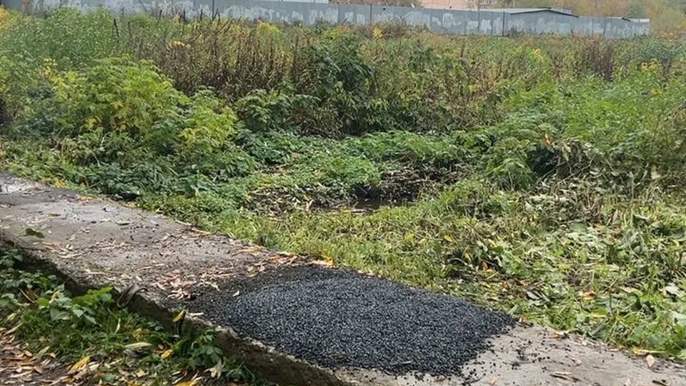 Фото: пресс-служба Администрации г.о. Реутов