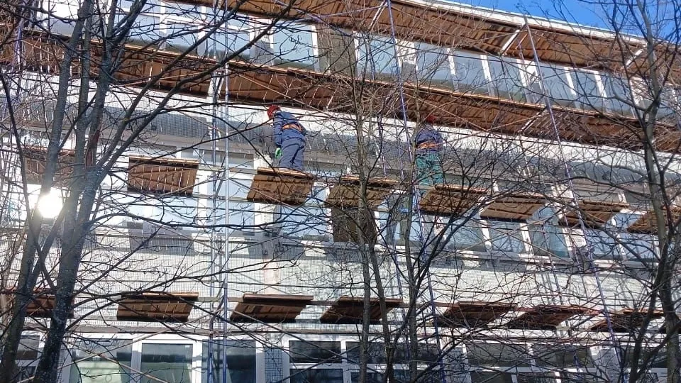 Фото: пресс-служба администрации городского округа Луховицы