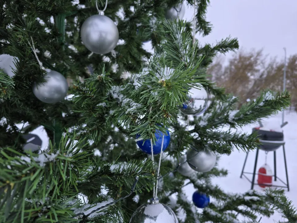 Фото: МедиаБанк Подмосковья/Яна Шаливская
