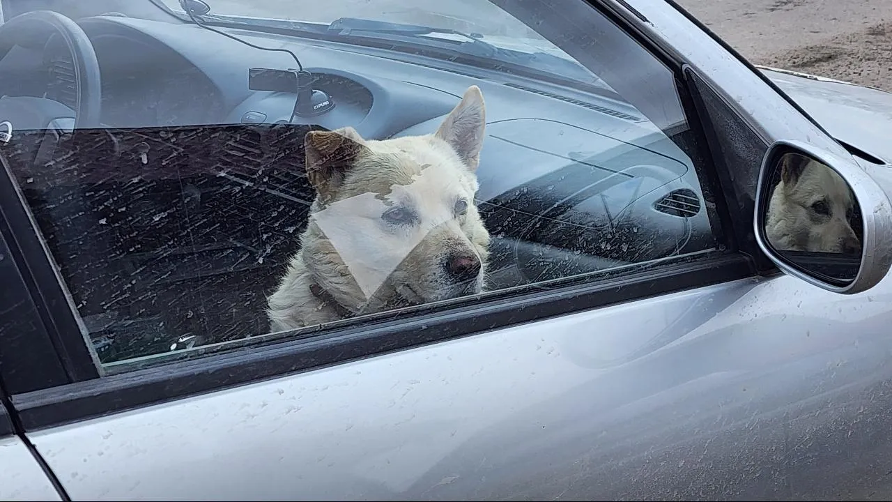 REGIONS/ Максим Сафронов