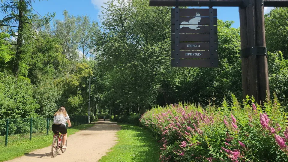 Фото: Ксения Пашуто