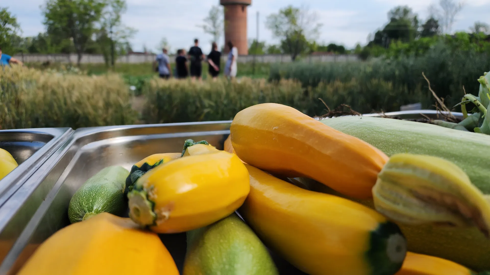 Фото: МедиаБанк Подмосковья/Андрей Семибратов