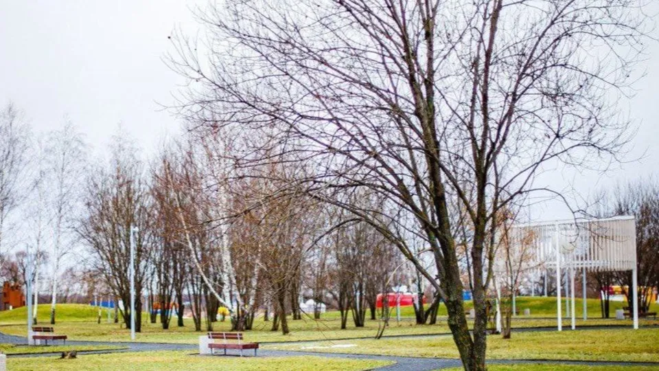 Фото: t.me/brolug