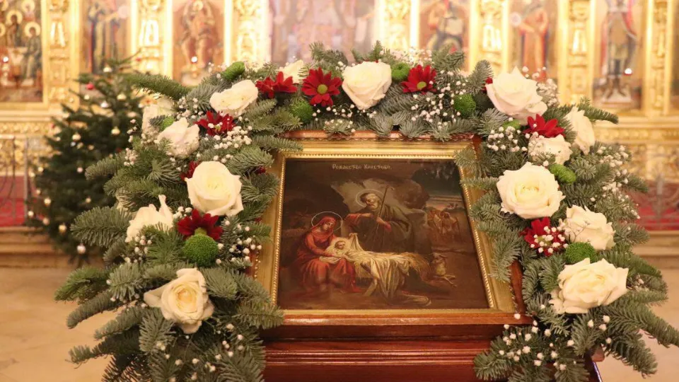 Фото: t.me/dmitriyvikulov