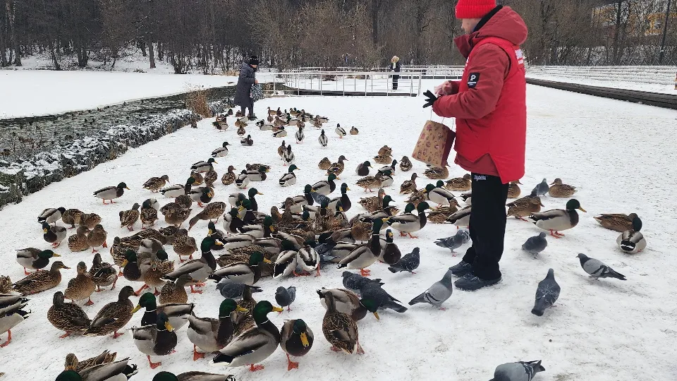 Фото: МедиаБанк Подмосковья/ Елизавета Приймак