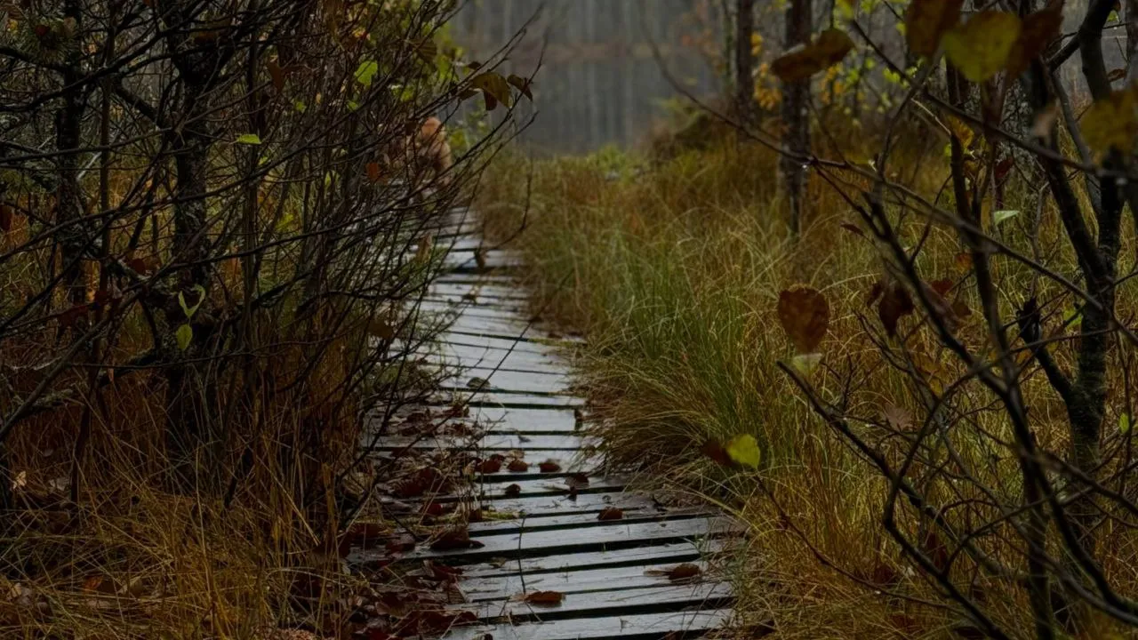 Фото: личный архив Марины Алифановой