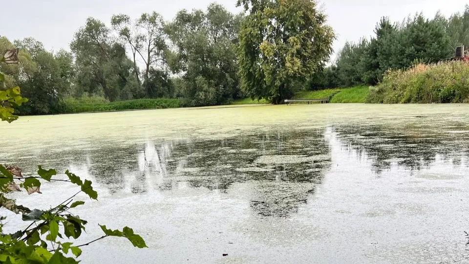 Фото: REGIONS/Елена Фурман