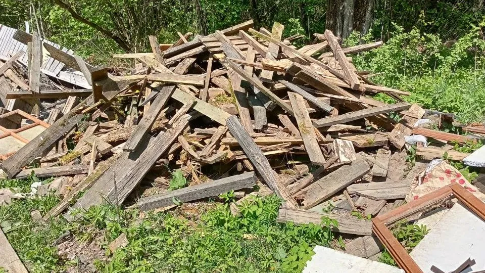 Комитет лесного хозяйства МО