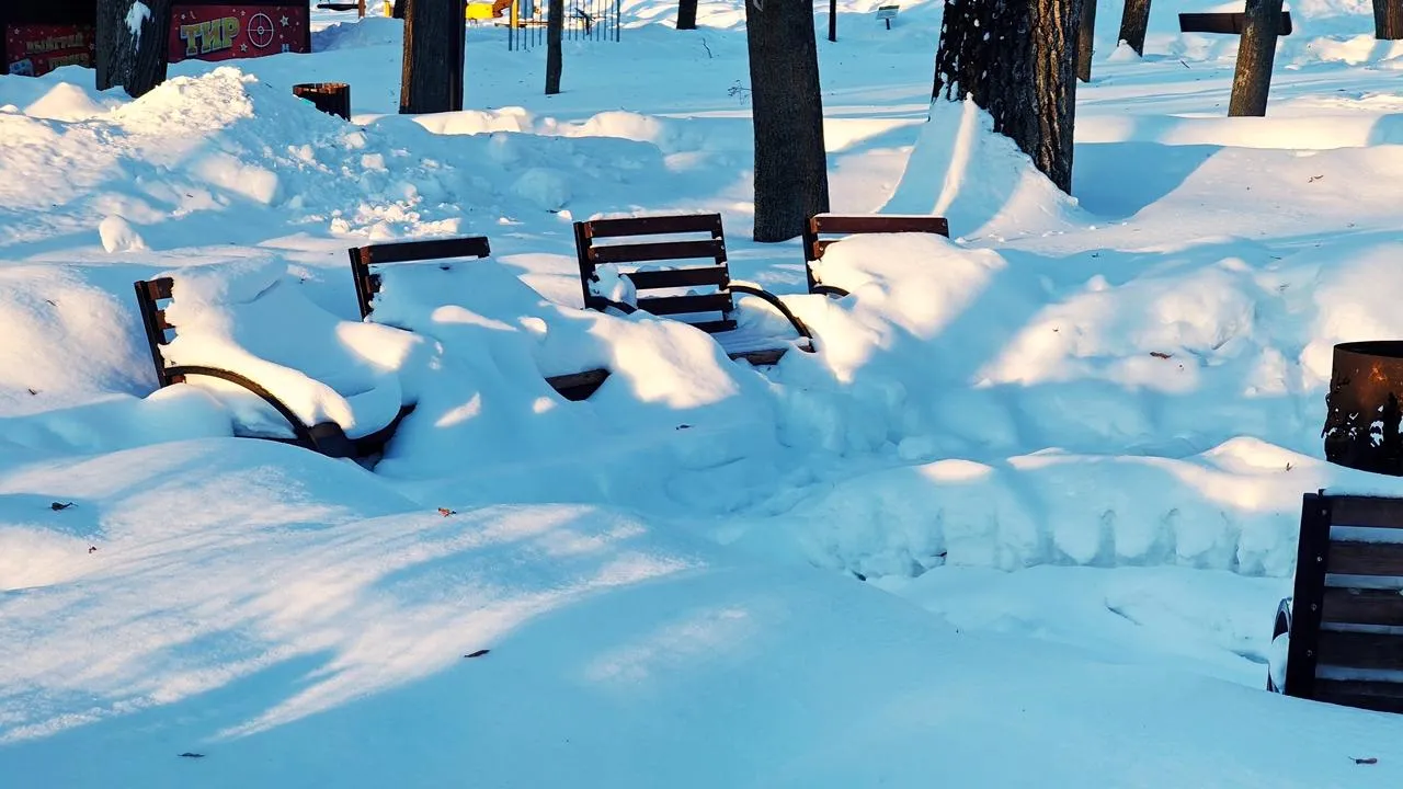 REGIONS/Алексей Селиверстов