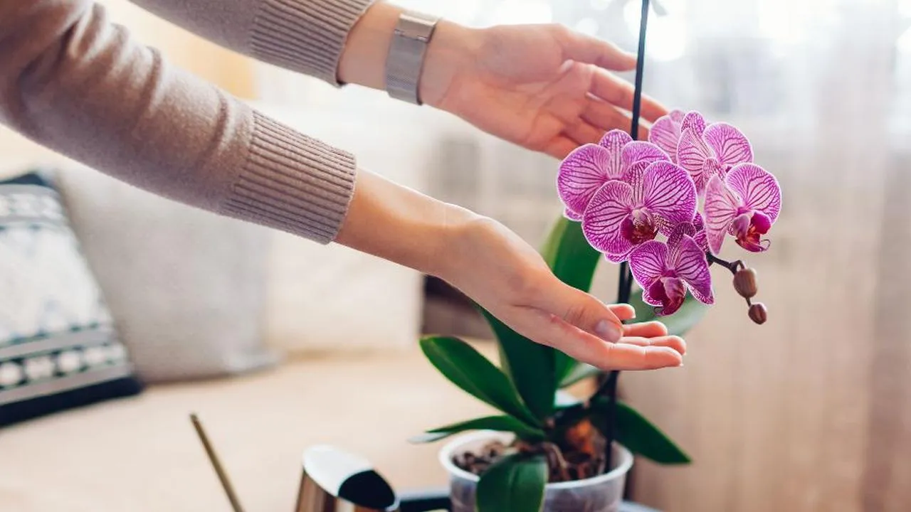 istockphoto.com/Maryviolet