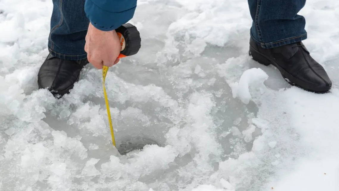 Фото: REGIONS/Максим Зубарев