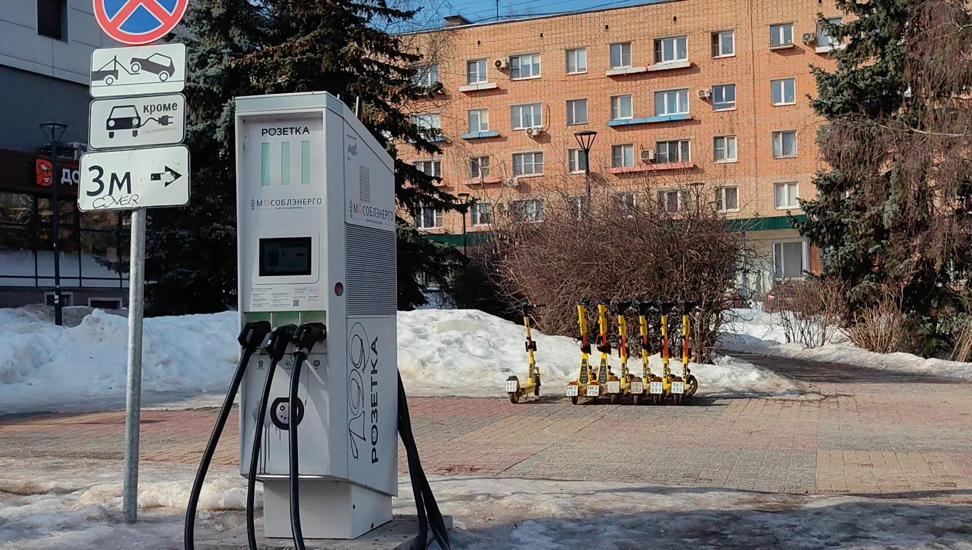 Елена Катасонова