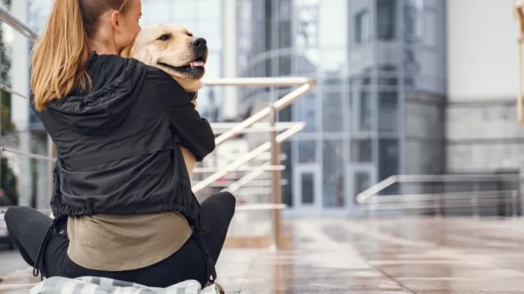 Фото: https://ru.freepik.com/