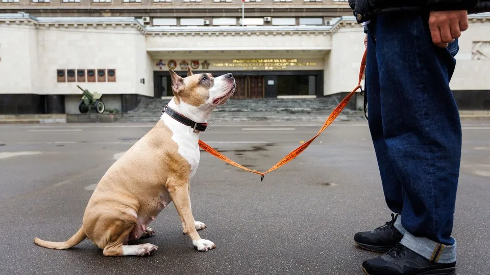 Фото: медиасток.рф