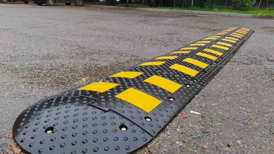 Фото: МедиаБанк Подмосковья/Киселев Владимир