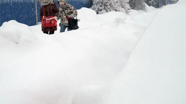 До 10% месячной нормы осадков выпадет в столичном регионе в субботу