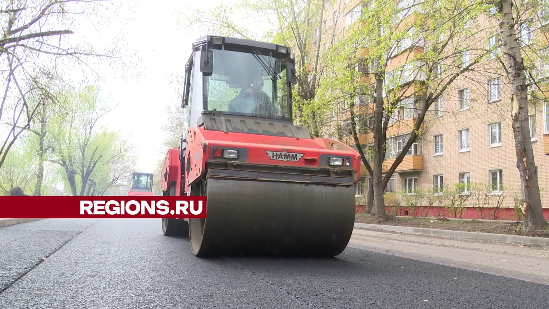 Фото: Ксения Казакова