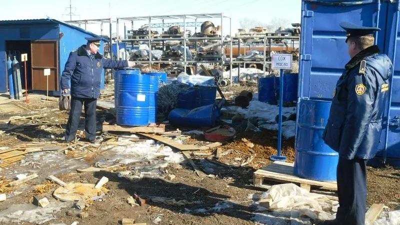 Более 1,2 тыс нарушений чистоты выявили в области за неделю