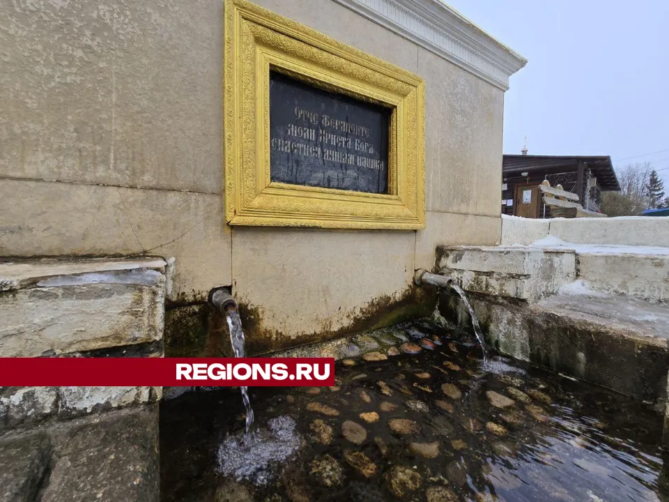 REGIONS/Яна Шаливская