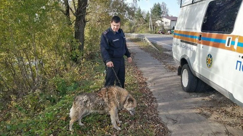 Пресс-служба ГКУ МО «Мособлпожспас»