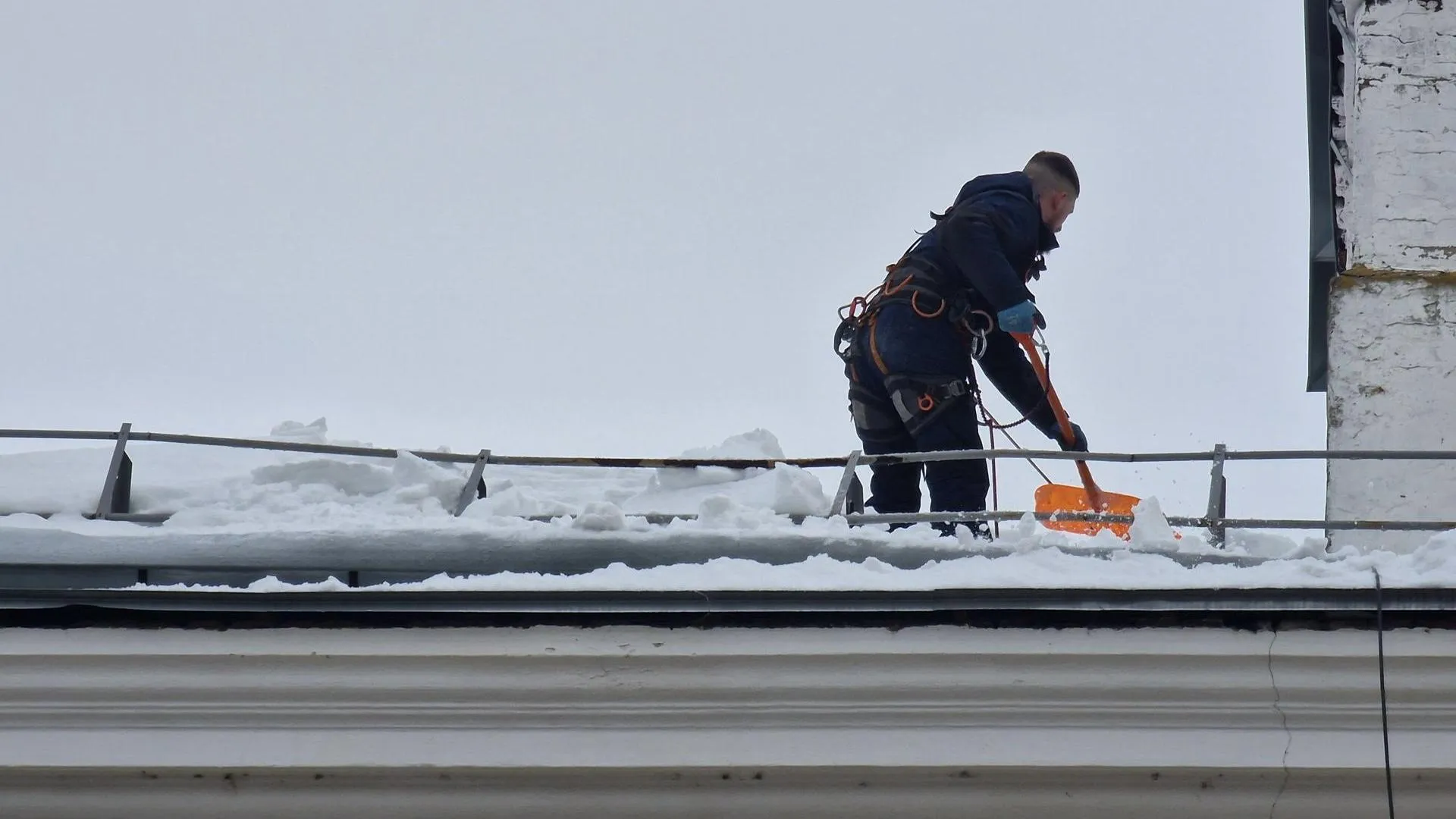 REGIONS/Ольга Шаронова