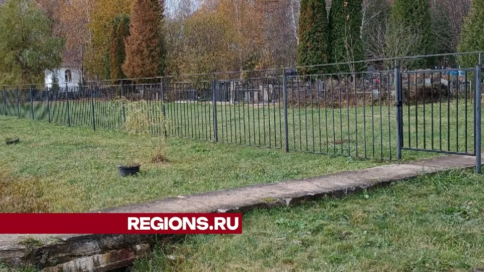 Фото: Юлия Смагринская