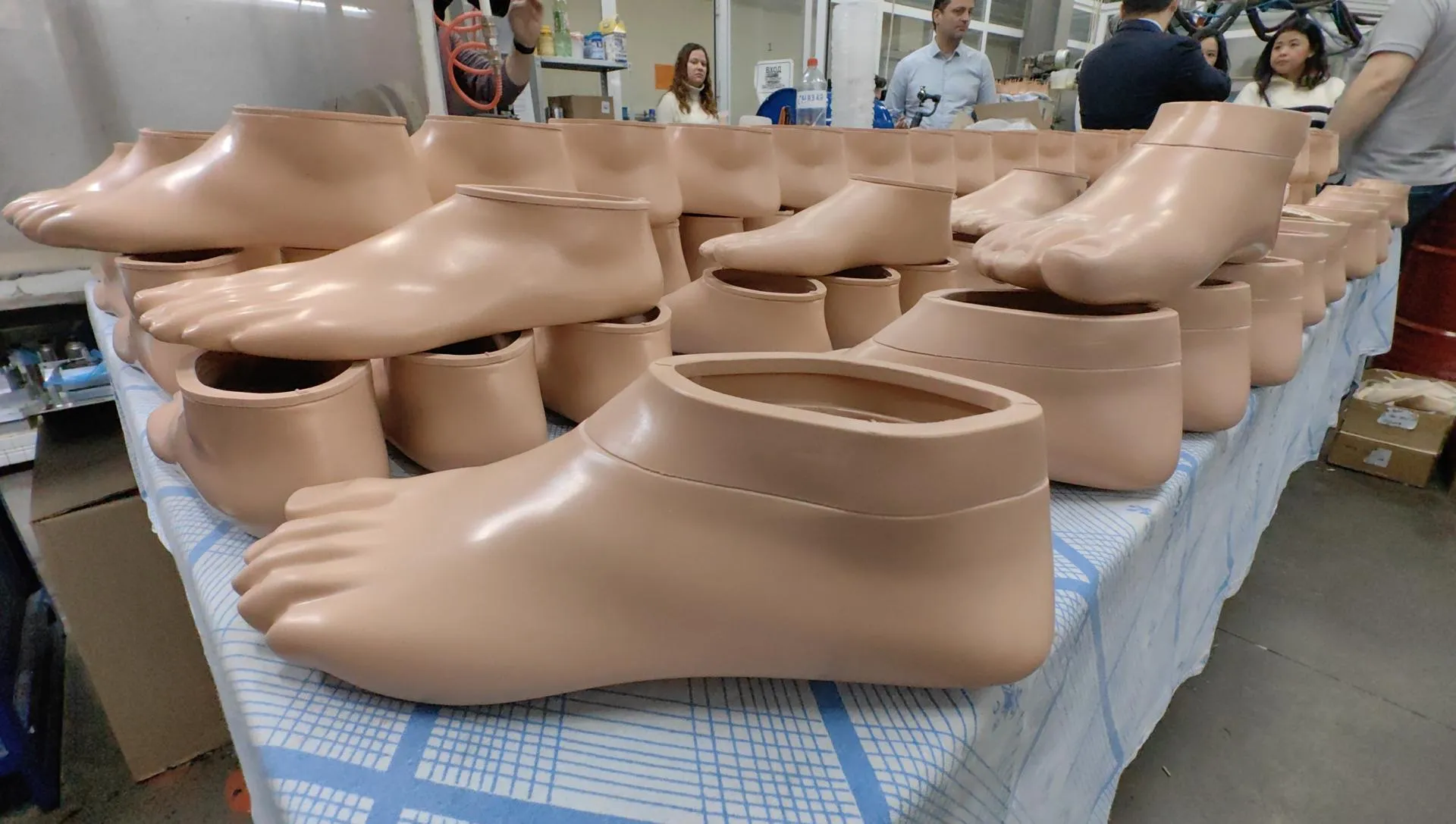 Елена Катасонова