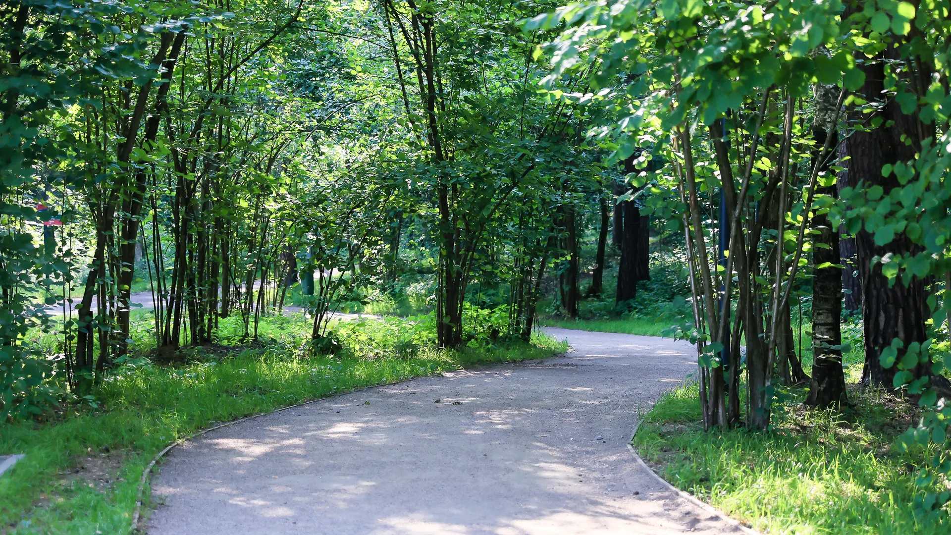 Московская область и Минприроды РФ будут  еще эффективнее взаимодействовать в вопросах экологии