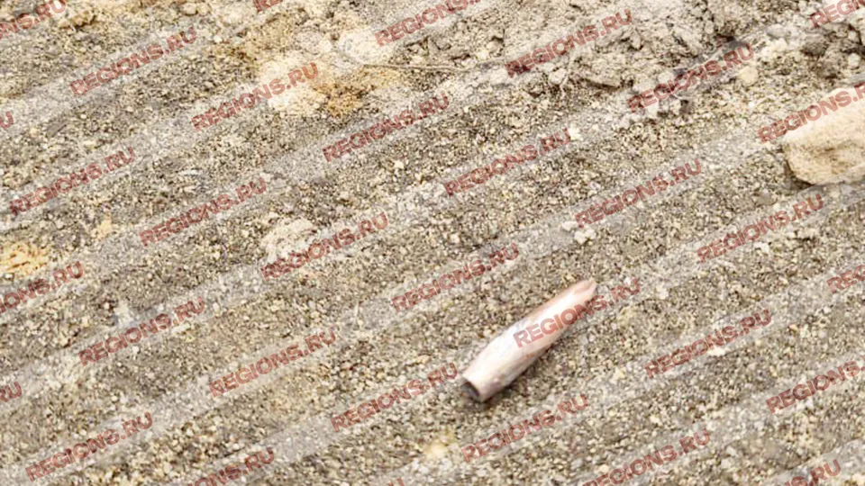 Фото: Виталий Хахин