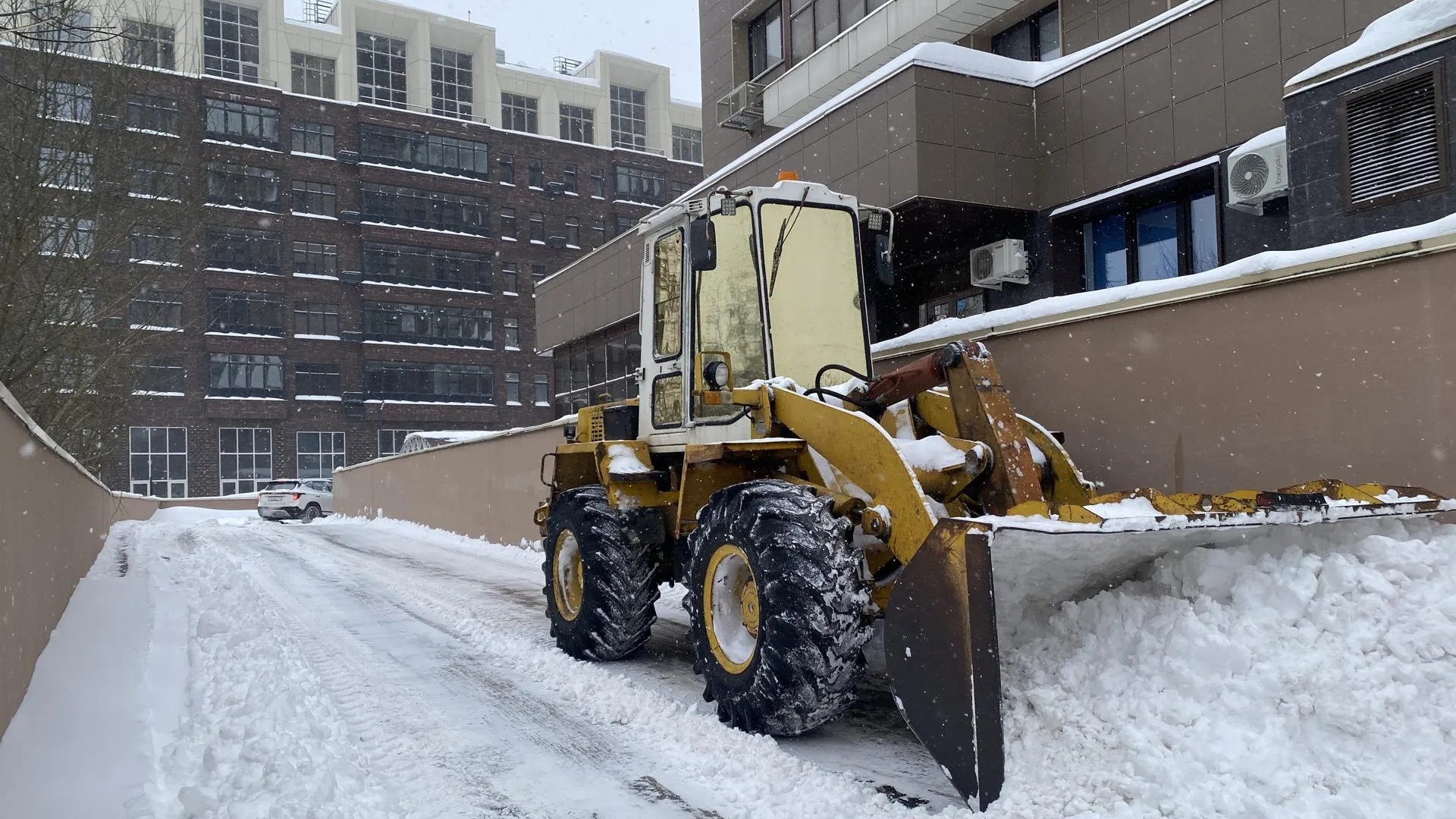 Анна Артюшина