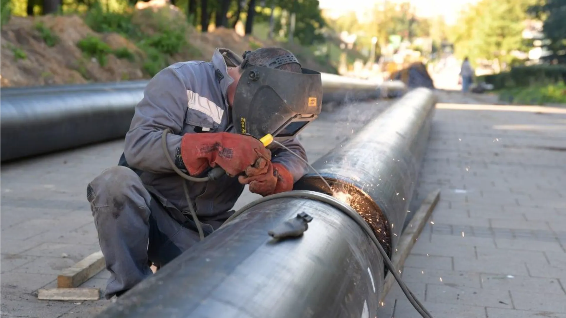 Фото: пресс-служба администрации Дмитровского м.о.