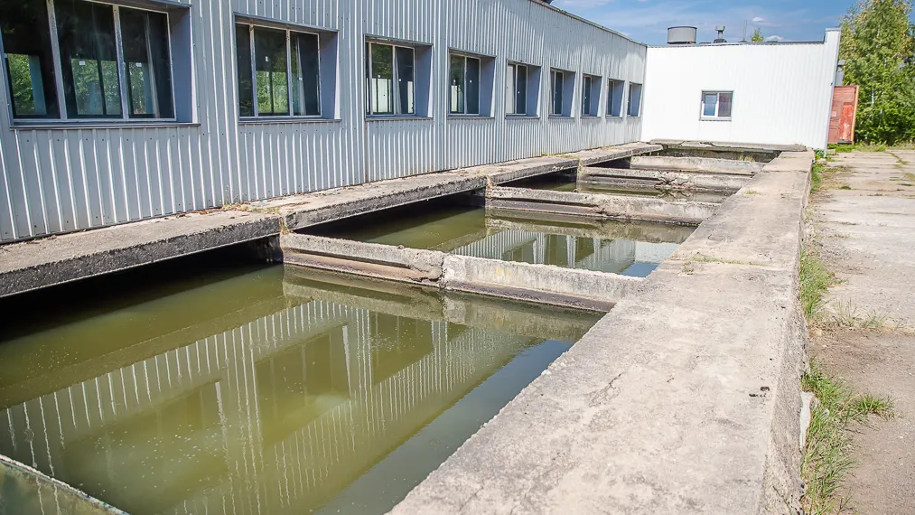 Фото: Хавива Фонина