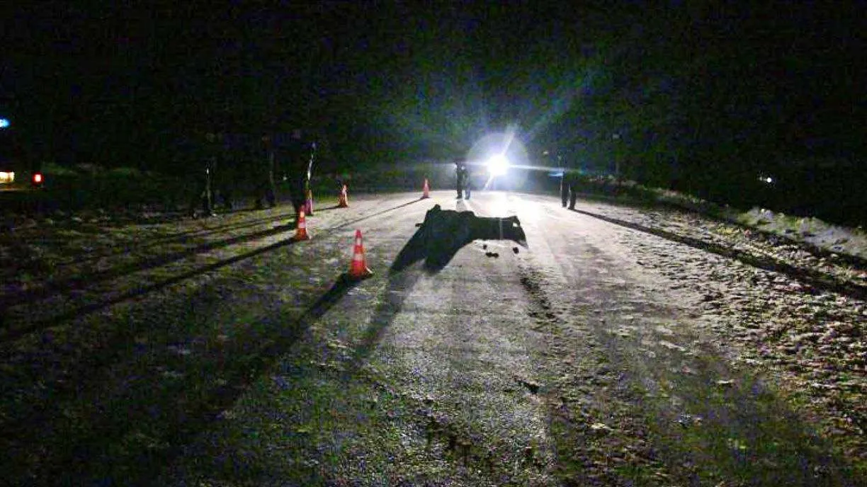 фото: соцсети