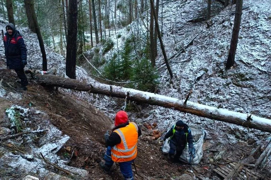 Фото: Комитет лесного хозяйства Московской области