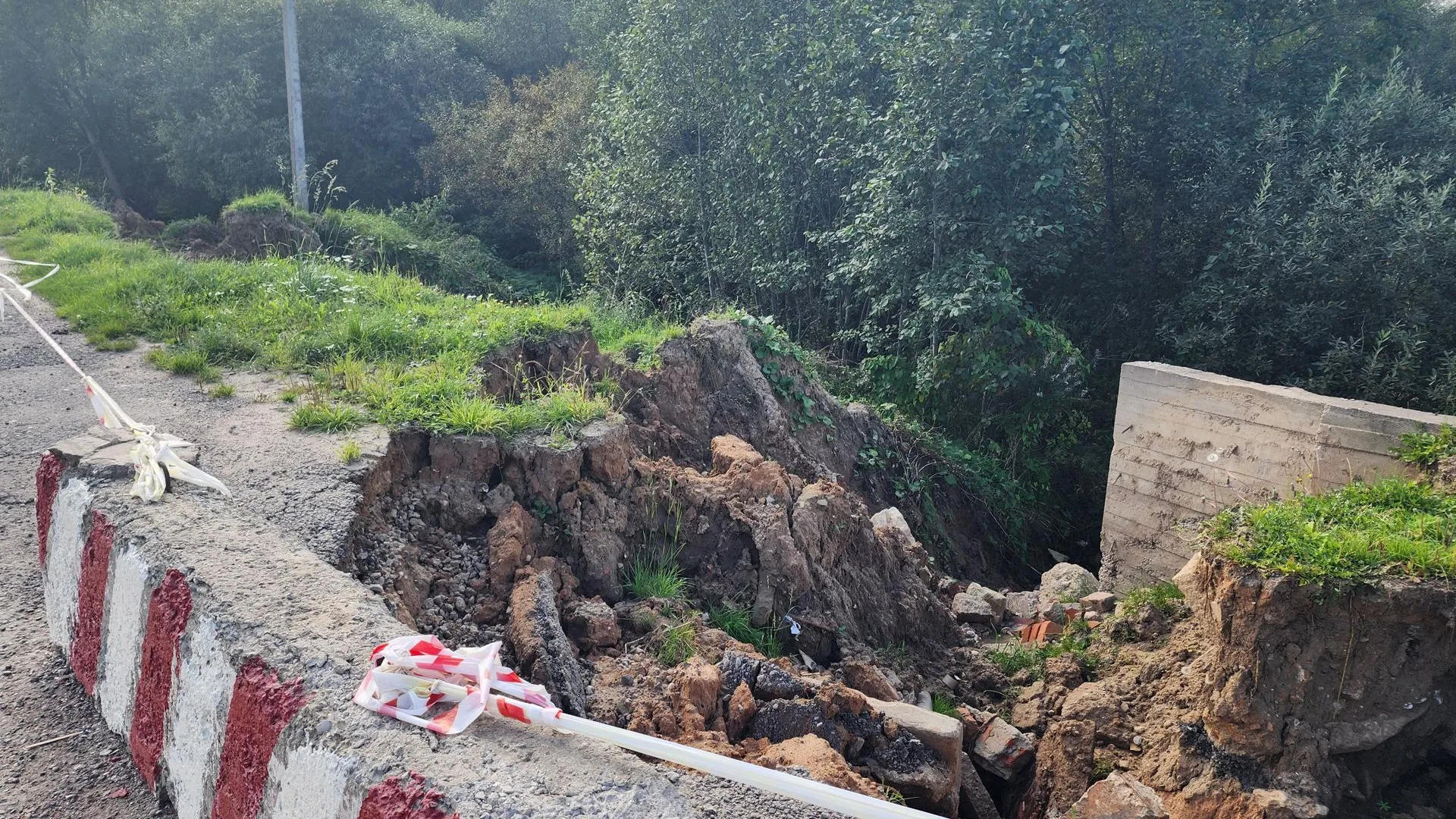 Фото: REGIONS/Сергей Орлов