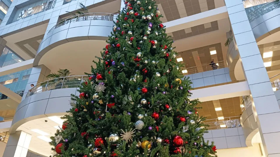 Фото: REGIONS/Наталья Пичугина