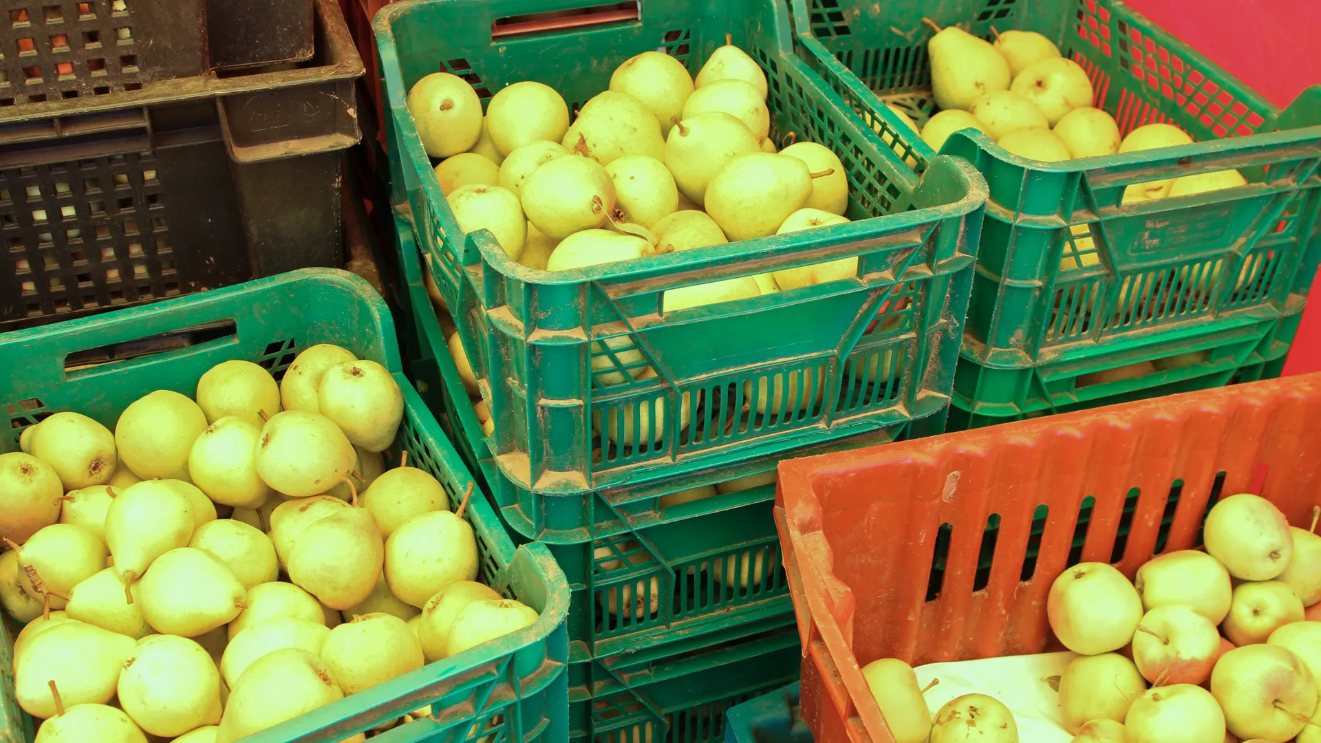 Ярмарка сельскохозяйственной продукции в Красногорске