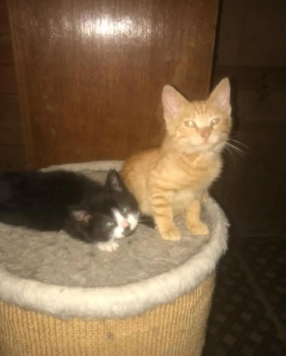 Фото: Подслушано на Глебовке (новая) / ВКонтакте