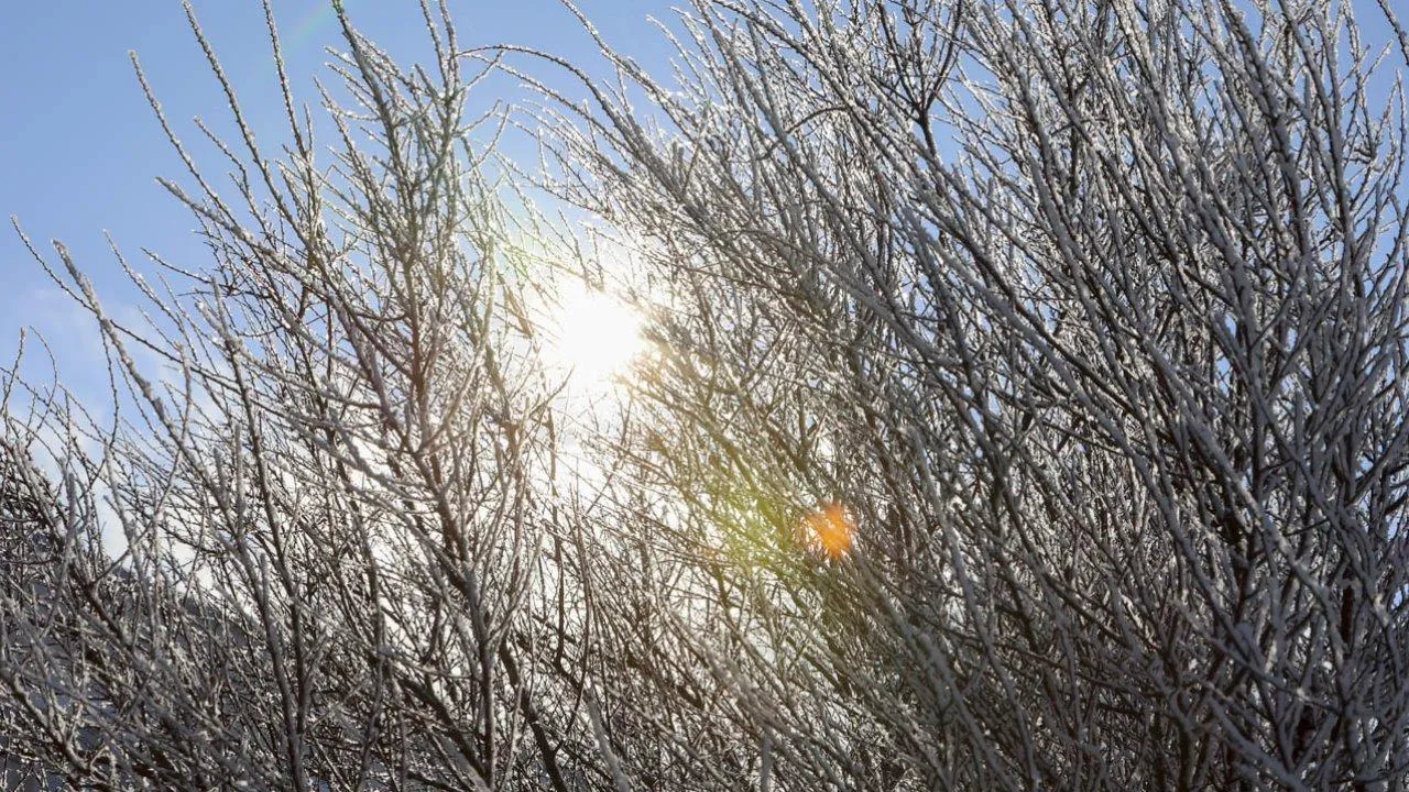 REGIONS/Роман Малышенко