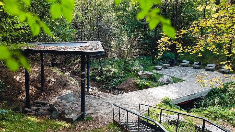 Фото: пресс-служба Администрации г.о. Химки