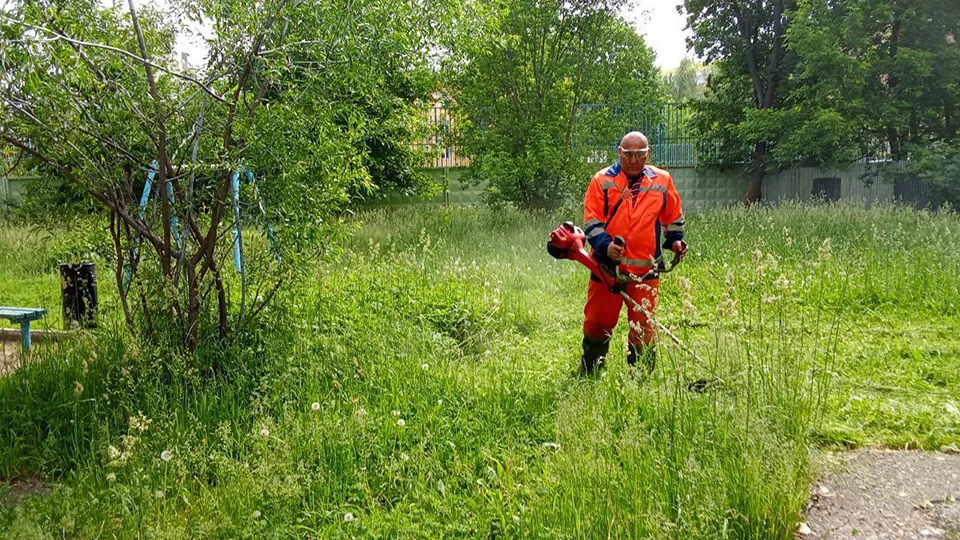 Фото: пресс-служба администрации г.о. Пушкинский