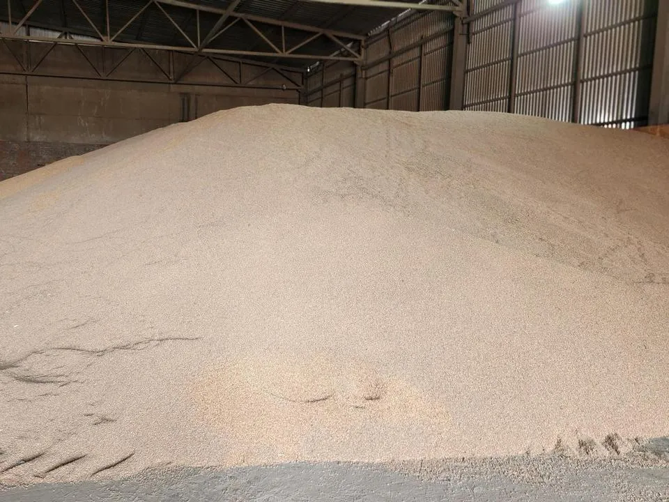 Фото: Медиабанк Подмосковья/Юлия Скавронова