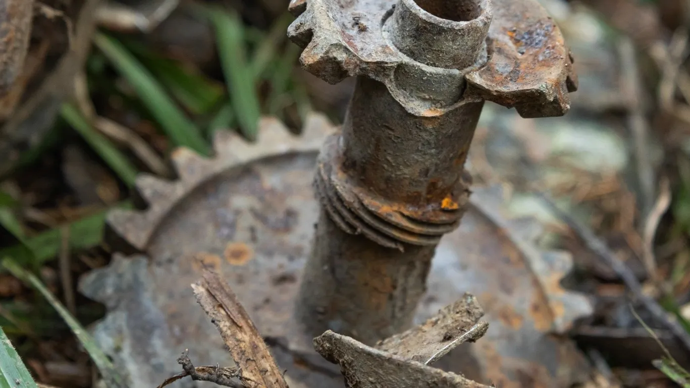 Фото: Поисковый отряд «БУМЕРАНГ - ДОСААФ» Наро-Фоминск